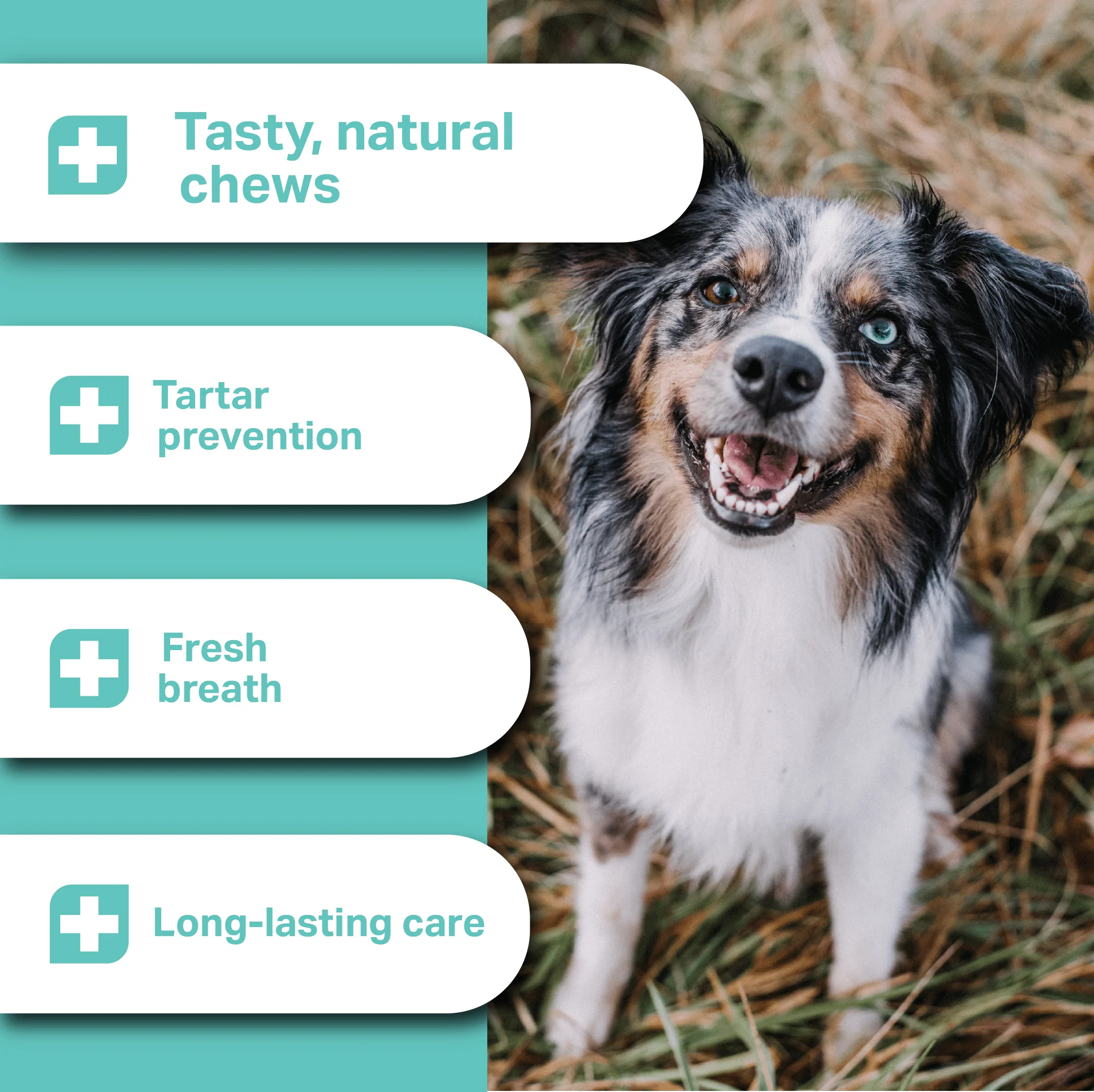 Medidog Dental Pops 250g - Image 2