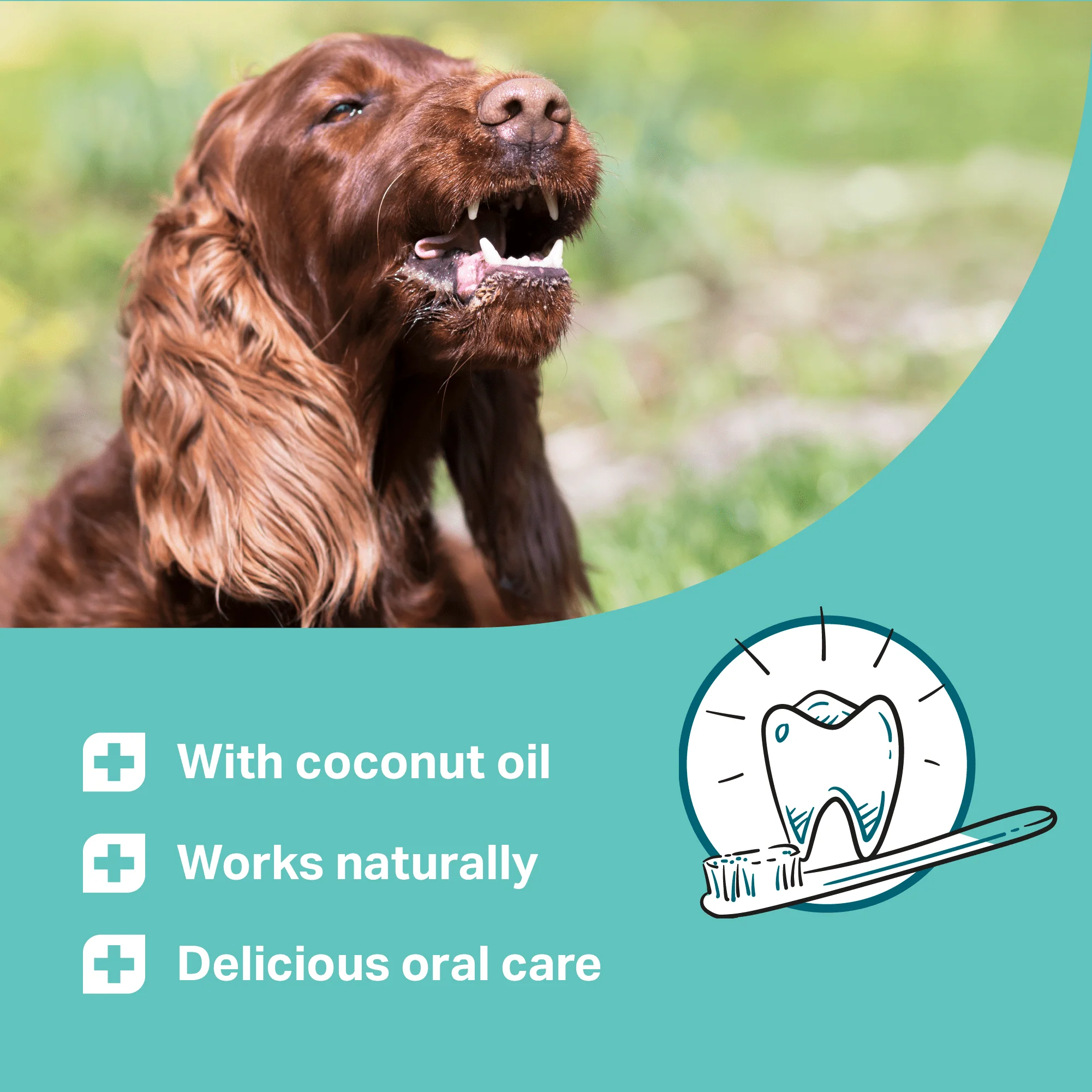Medidog Dental Pops 250g - Image 5