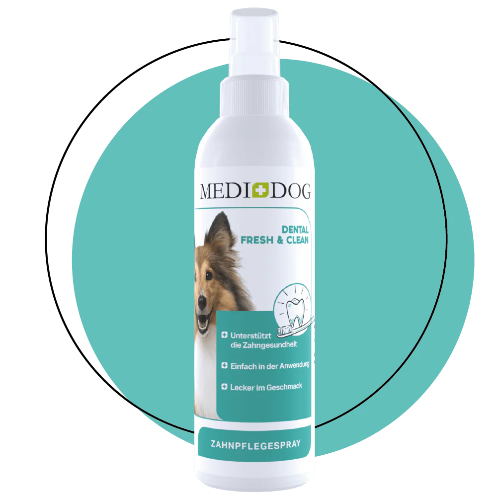 Medidog Dental Fresh & Clean 250ml