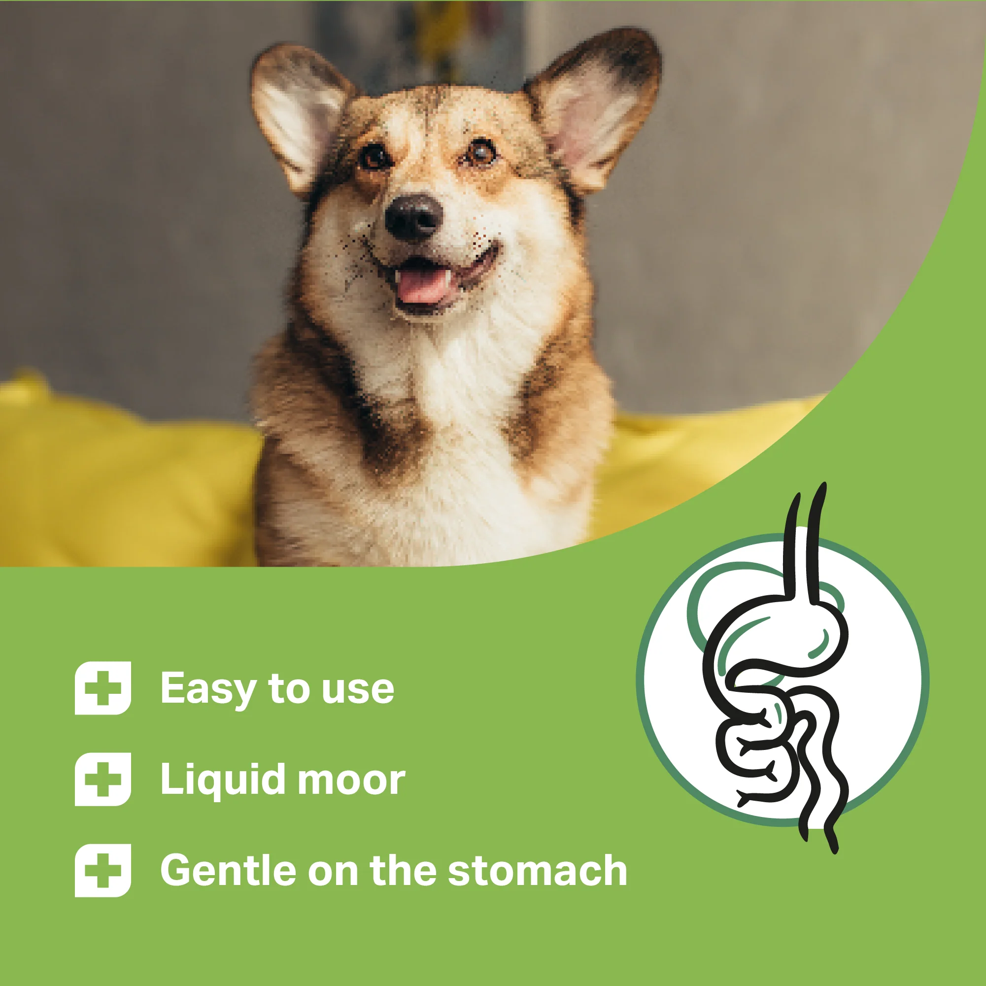 Medidog Probiotic-Vital drink 250ml - Image 2