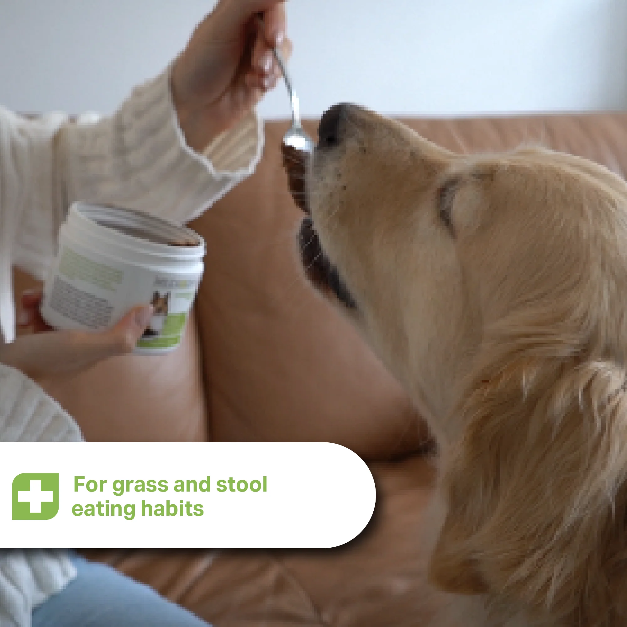 Medidog Probiotic-Vital drink 250ml - Image 7
