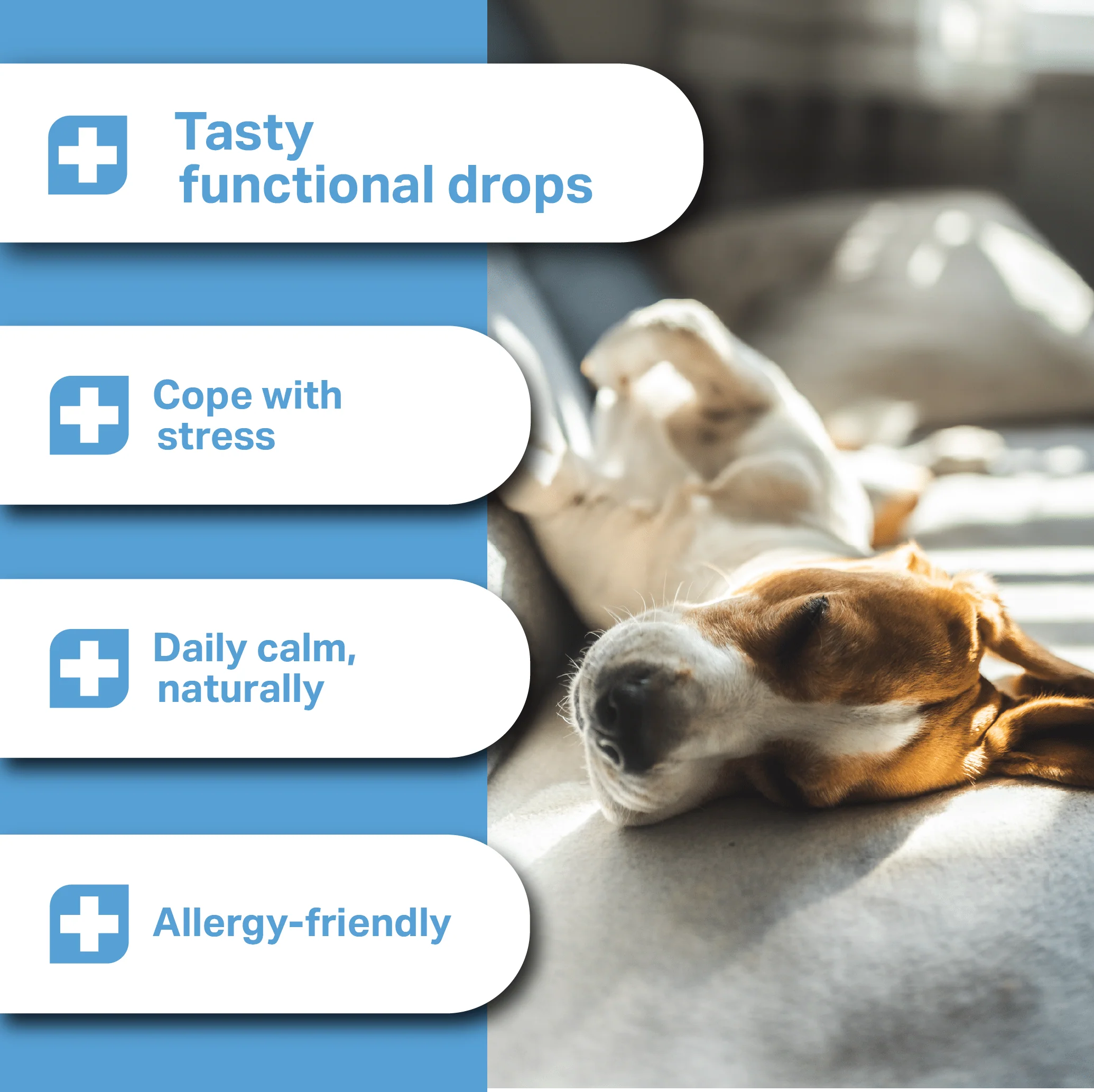 Medidog Calming Treats For Anxiety 400g - Image 2