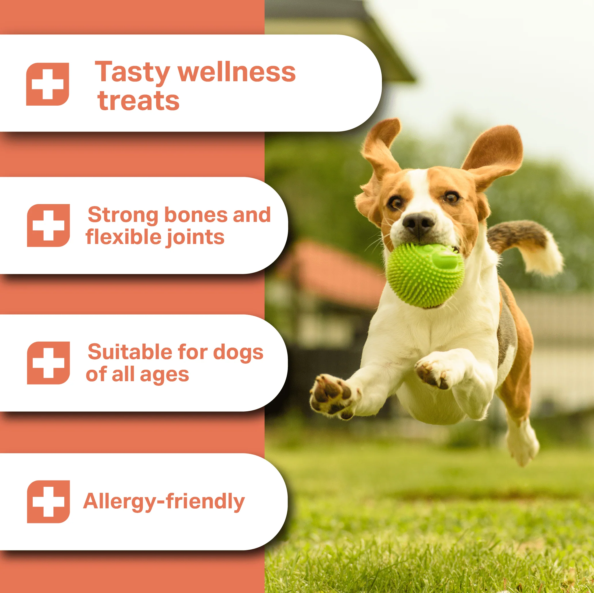 Medidog Joint Active Drops 400g - Image 2