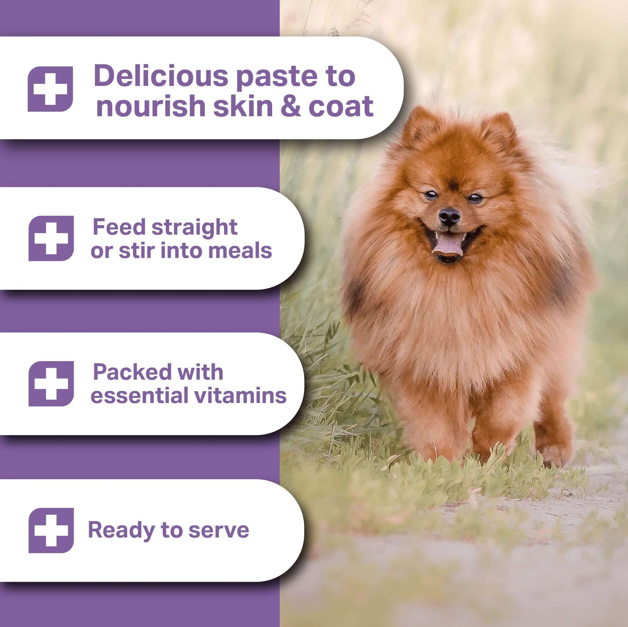 Medidog Skin & Coat Paste 500g - Image 2