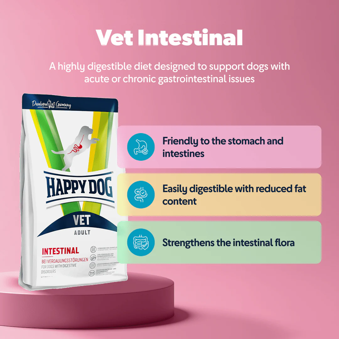 Vet Intestinal - Image 2