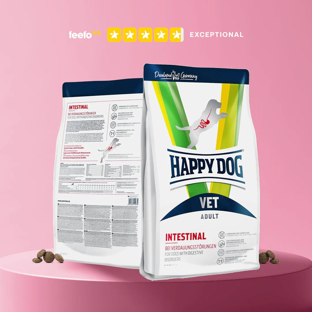 Vet Intestinal - Image 4