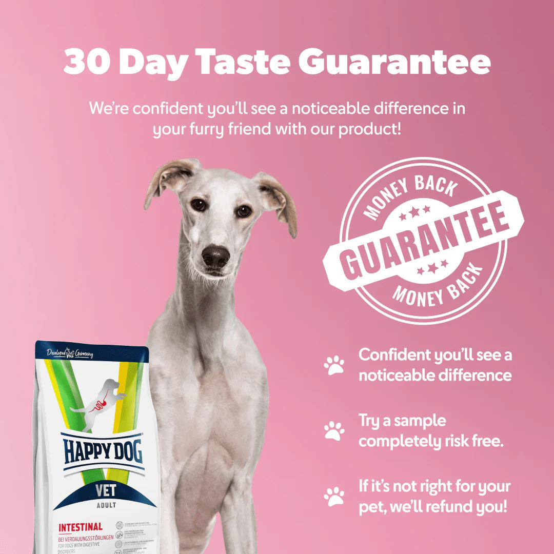 Vet Intestinal Low Fat - Image 3